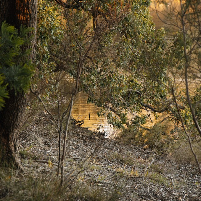 Unyoked 'Alby' - 1 Night Weekdays