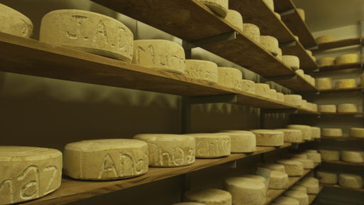 Bruny Island Traveller - We Wander