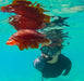 Coral Viewing & Snorkel Tour, Exmouth 2Hrs - We Wander