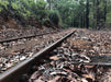 Dwellingup Trains, Trails & Woodfired Delights - We Wander