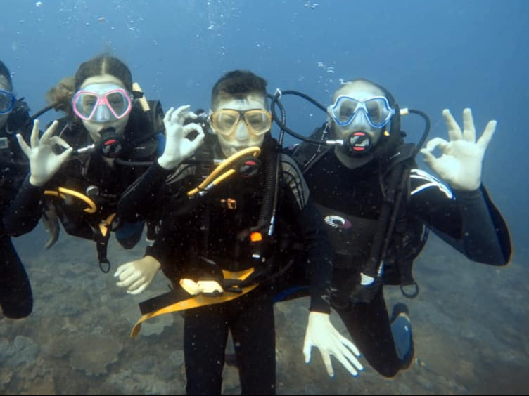 Introductory Dive Sunshine Coast Reefs - Double Dive - We Wander