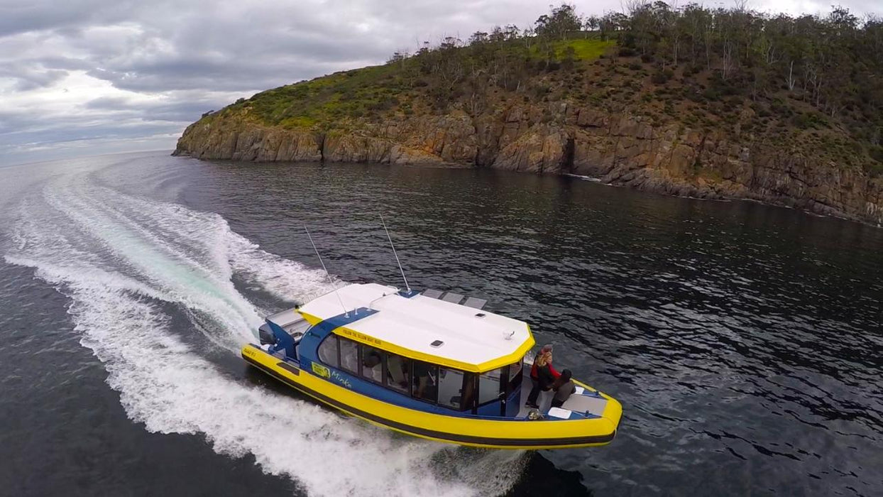 Iron Pot Cruises - We Wander