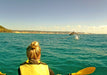 Noosa Dolphin View Sea Kayak & Beach 4X4 Adventure - Day Tour - We Wander