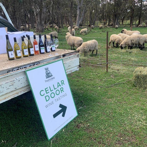 Six Glass Wine Tasting At The Mill - We Wander